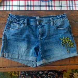 Cute pair of embroidered jean shorts